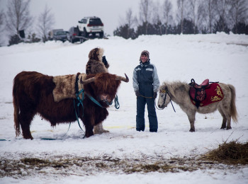 WINTER JOY FESTIVAL "SNĪGA CYLVĀKS"