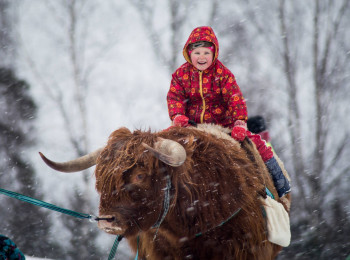 WINTER JOY FESTIVAL "SNĪGA CYLVĀKS"