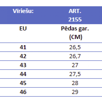 Vīriešu apavi ART.2155