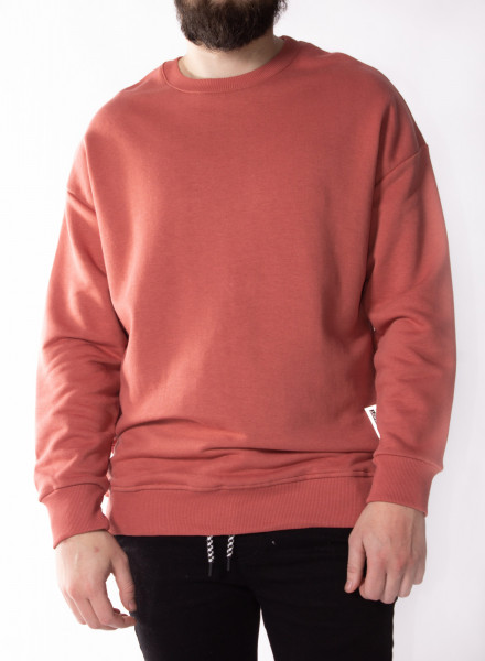 Men's sweatshirt ART.3629